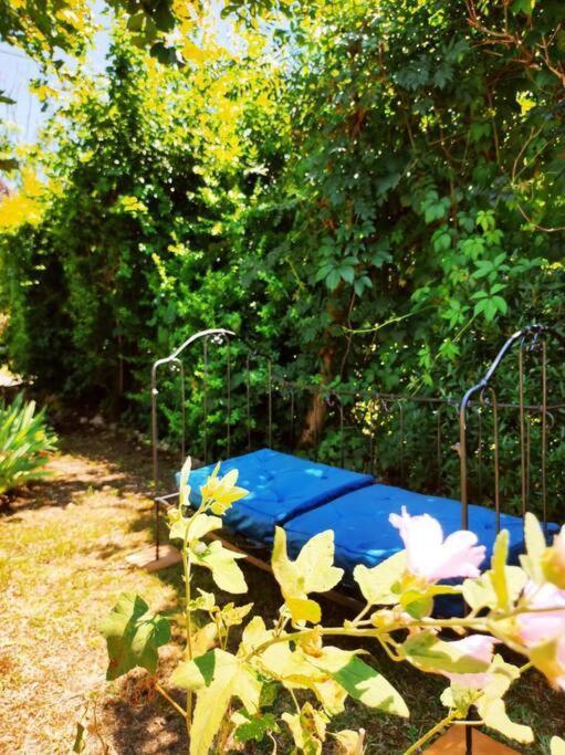 Gite La Petite Longere Septfonds ภายนอก รูปภาพ